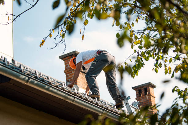 Best Residential Roof Replacement  in Clanton, AL